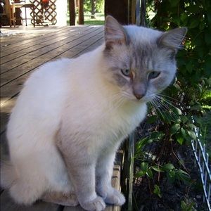 Meet your Posher, Kat